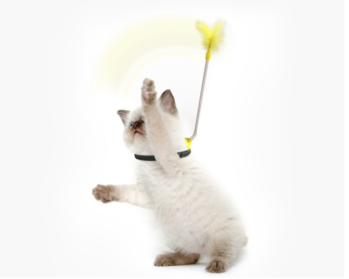 Self Healing Collar Neck Toy Spring Foot With Tap To Tease Cat Stick