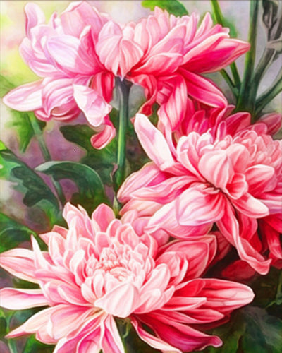 Digital Flowers DIY Oil Painting For Adult Painting