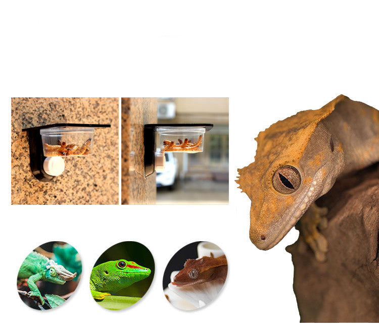 Multifunctional pet wall hanging basin