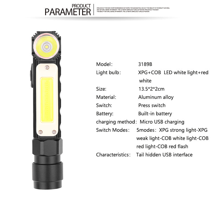 Car inspection light