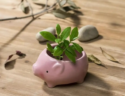 Ceramic Cartoon Hedgehog Pig Elephant With Bottom Hole Succulent Flower Pot