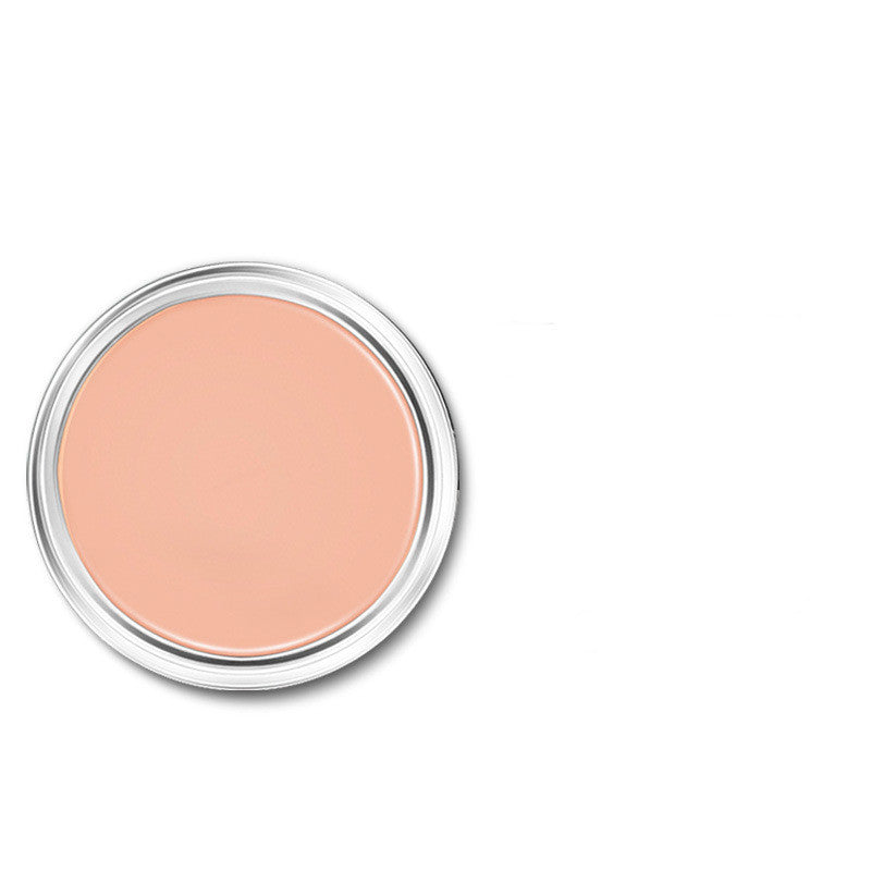 Repairing Concealer Acne Scar Dark Circle Foundation