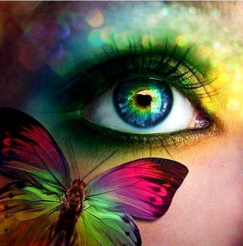 Jui Star Full Square Diamond 5D DIY Diamond Painting  Eyelid Care Products And Butterflies  Cross-stitch Mosaic Decor BK
