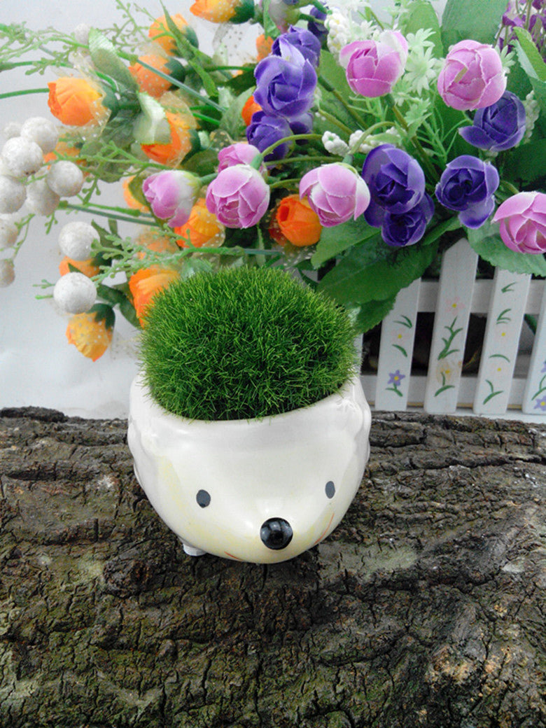 Ceramic Cartoon Hedgehog Pig Elephant With Bottom Hole Succulent Flower Pot