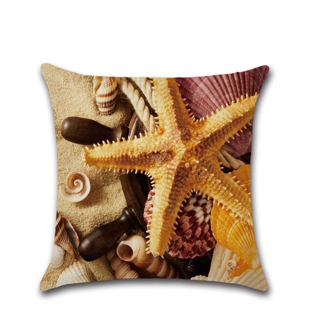 Mediterranean Seashells Are Hot In The Amazon