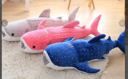 Sea Animal Blue Shark Whale