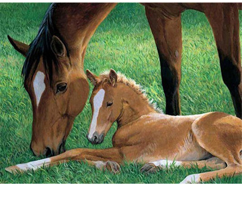 CHEVAL MERE ET ENFANT