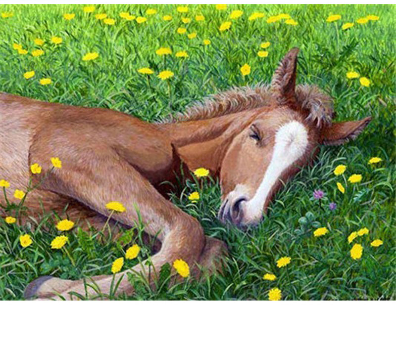 CHEVAL MERE ET ENFANT