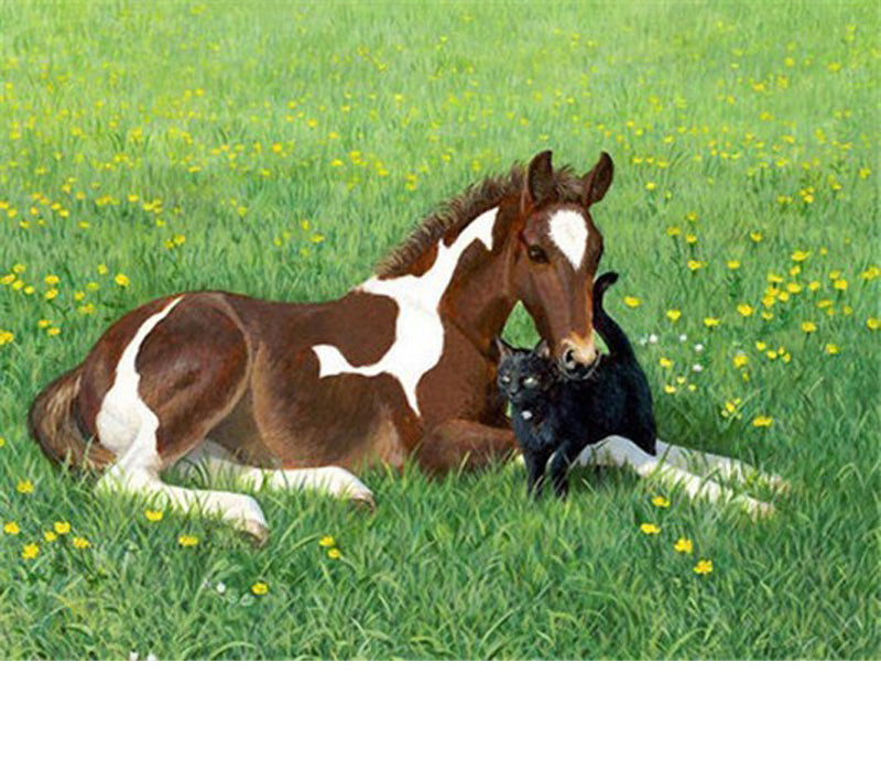 CHEVAL MERE ET ENFANT