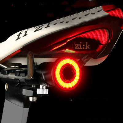 Bicycle Smart Brake Tail Light