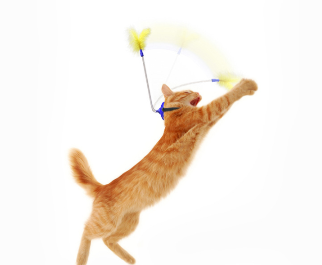 Self Healing Collar Neck Toy Spring Foot With Tap To Tease Cat Stick