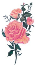 Patterned Animal Hand-Painted Plain Flower Personality Fashion  Waterproof Tattoo Sticker