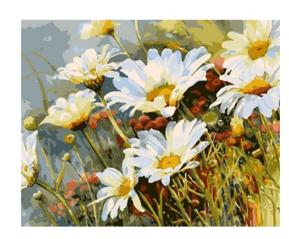 Daisy Flower-DIY Digital Painting Kit
