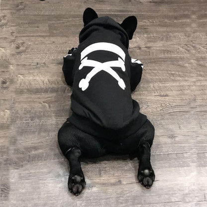 Winter dog jacket hood