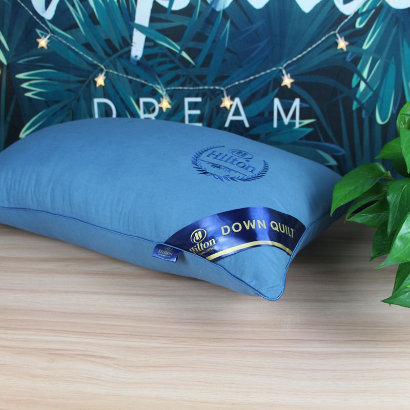 Hotel embroidered pillow