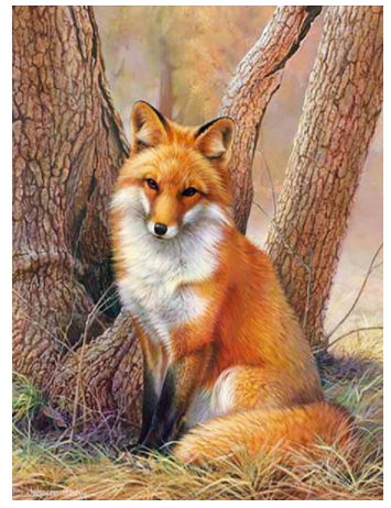 Diamond Painting Cross Stitch Animal Fox Full Square Mosaic Rhinestone Picture Home