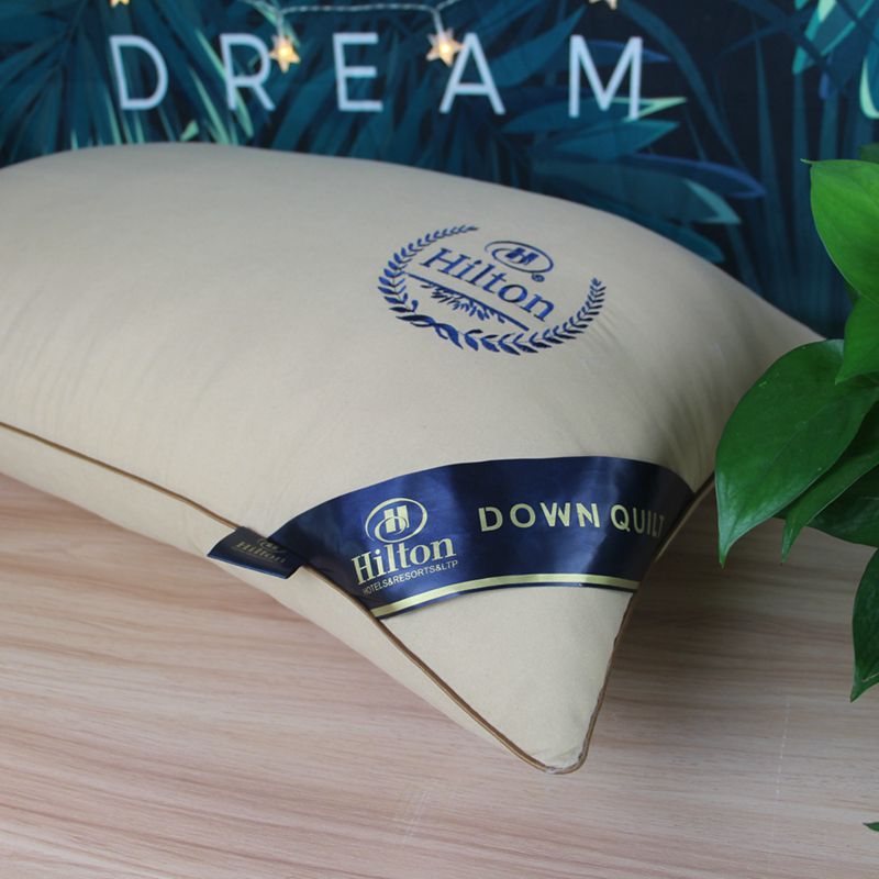 Hotel embroidered pillow