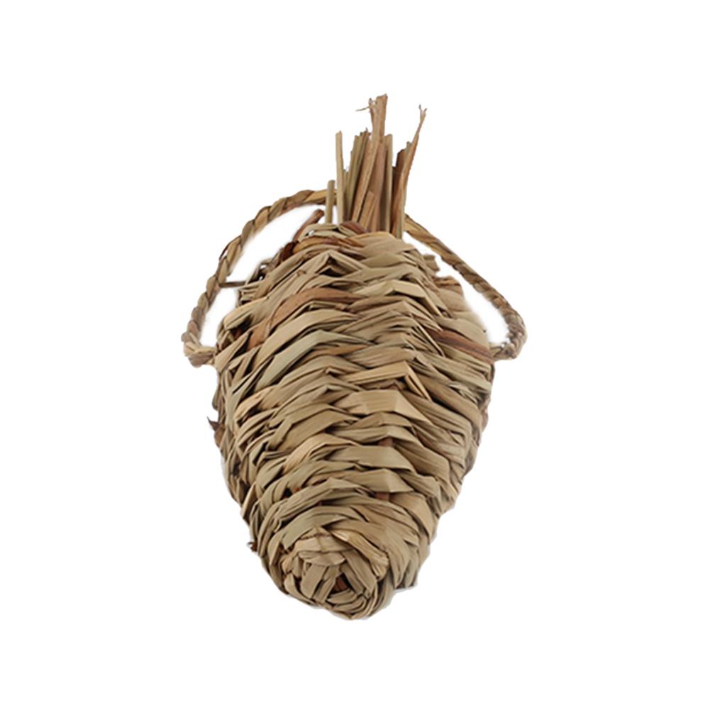 Pet grass molars