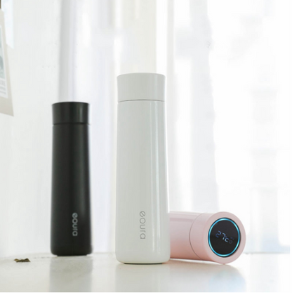 Intelligent stainless steel water bottle