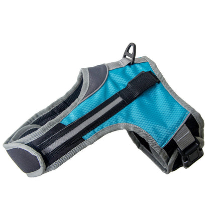 Pet dog leash