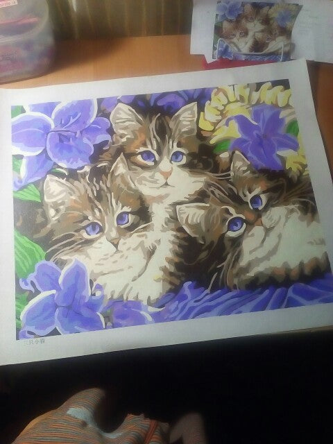 Three Cute Kittens Painting By Numbers