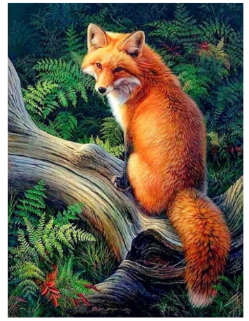 Diamond Painting Cross Stitch Animal Fox Full Square Mosaic Rhinestone Picture Home