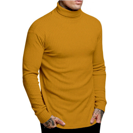 New Casual Men's Fashionable Solid Color High Neck Fried Dough Twist Stripe Knitwear