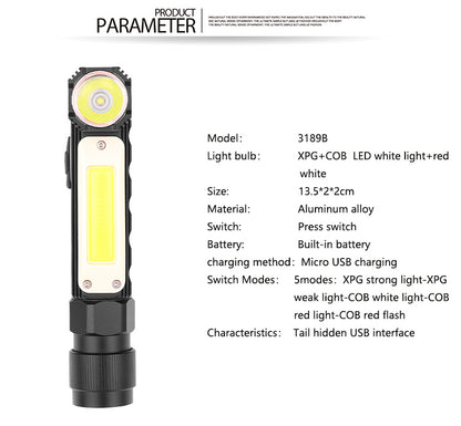 Car inspection light