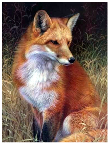 Diamond Painting Cross Stitch Animal Fox Full Square Mosaic Rhinestone Picture Home