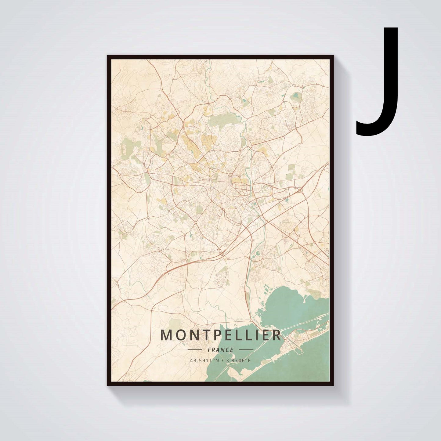 Grenoble Vintage Landscape Canvas Painting Poster