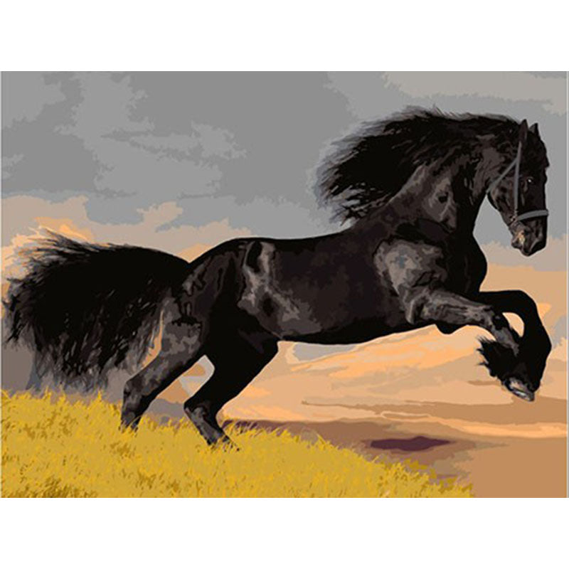 modular pictures by numbers diy Black Horse PICTURES ON THE ROOMS ON THE CANVAS 2021 new drop shipping