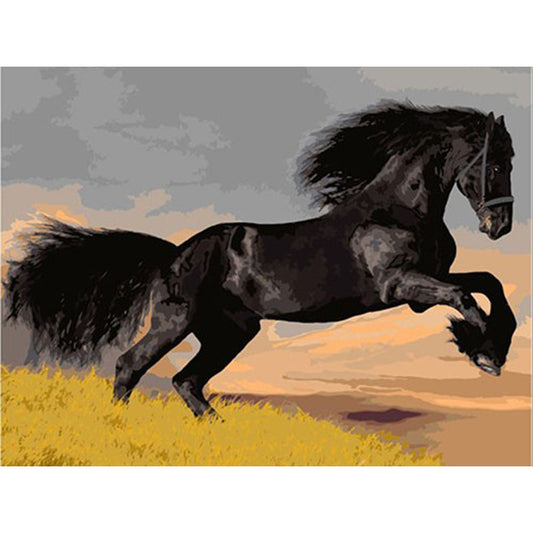 modular pictures by numbers diy Black Horse PICTURES ON THE ROOMS ON THE CANVAS 2021 new drop shipping