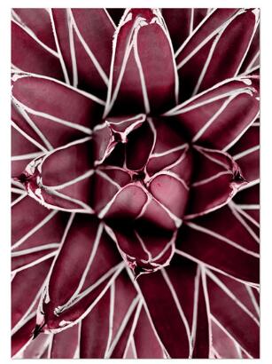 Red Peony Rose Flower Leaf Wall Art Diamond Painting Cross Stitch