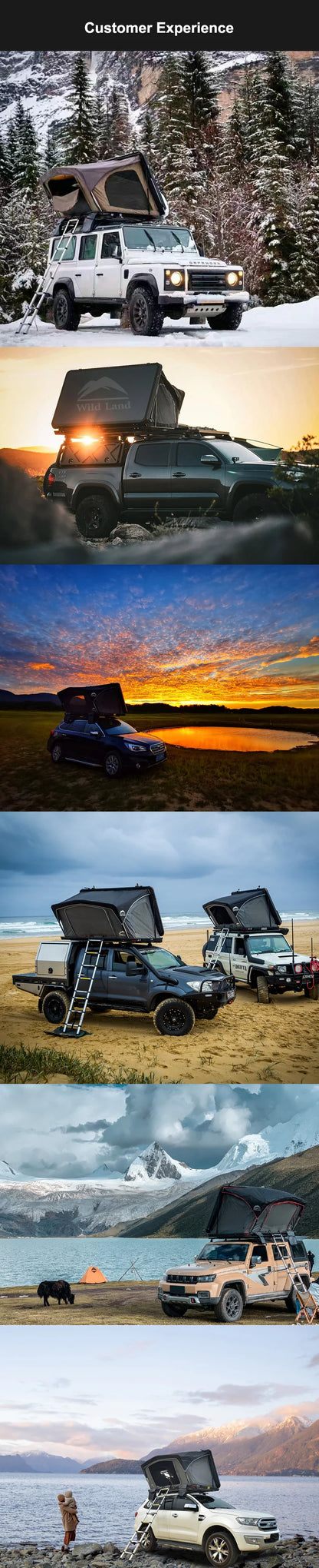 Wild Land Desert Cruiser Car Roof Top tent Hard Shell 4WD roof tent waterproof quick set up off road tent