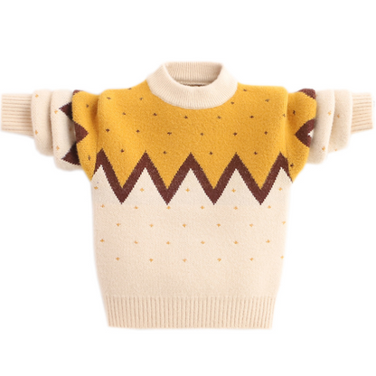 Boys' Pullover Fleece Thickened Mink Mink Velvet