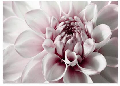 Red Peony Rose Flower Leaf Wall Art Diamond Painting Cross Stitch