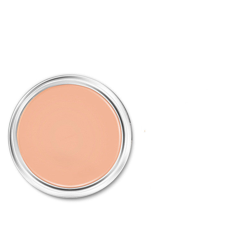 Repairing Concealer Acne Scar Dark Circle Foundation