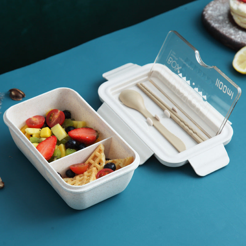 Plastic lunch box