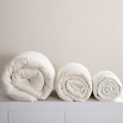 Single Double Spring And Autumn Quilt Antibacterial Quilt Core Cotton Winter