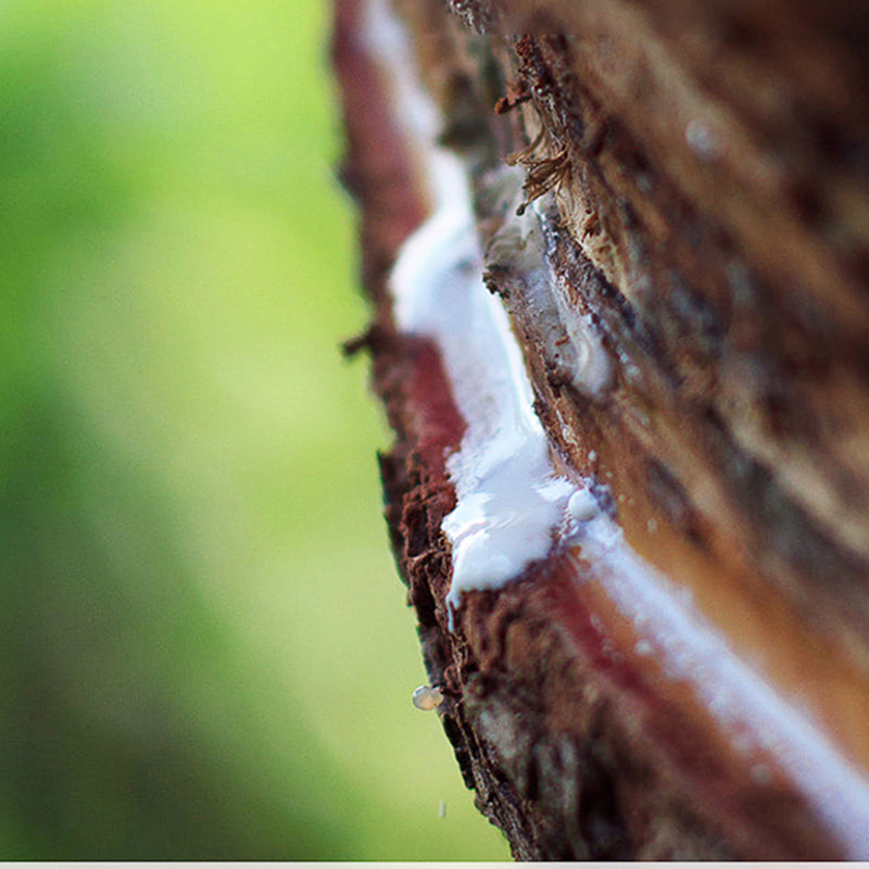Simple And Breathable Household Latex Mattress