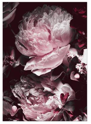 Red Peony Rose Flower Leaf Wall Art Diamond Painting Cross Stitch